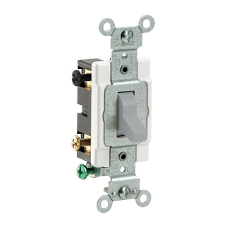 Leviton® CS420-2GY 841134