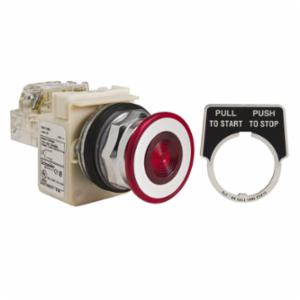 Square D&trade; 9001KR9P1RH13