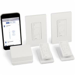 Lutron® P-BDG-PKG2W