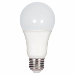 SATCO&reg; S29815 - 15A19/LED/2700K/1600L/120V/D