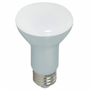 SATCO&reg; S9633 - 6.5R20/LED/5000K/525L/120V