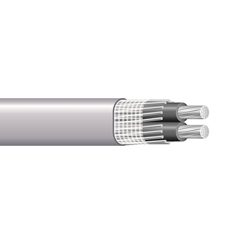 Connexion Vendor SEU-2/2-WG-1000FT