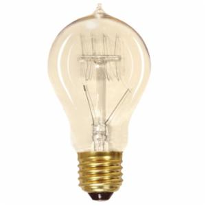 SATCO® S2411 - 25A19/CL/120V Vintage