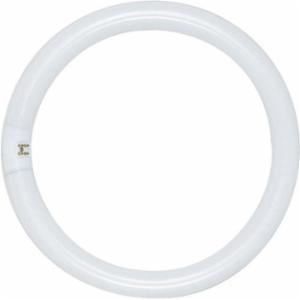 SATCO&reg; S6503 - FC12T9/CW/RS